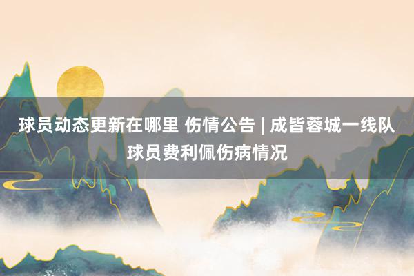 球员动态更新在哪里 伤情公告 | 成皆蓉城一线队球员费利佩伤病情况