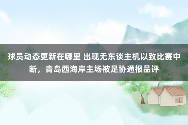 球员动态更新在哪里 出现无东谈主机以致比赛中断，青岛西海岸主场被足协通报品评