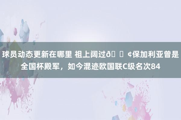 球员动态更新在哪里 祖上阔过😢保加利亚曾是全国杯殿军，如今混迹欧国联C级名次84