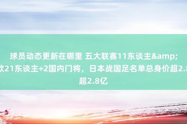 球员动态更新在哪里 五大联赛11东谈主&旅欧21东谈主+2国内门将，日本战国足名单总身价超2.8亿