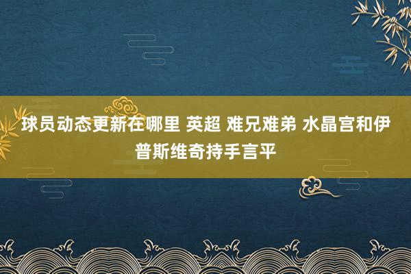 球员动态更新在哪里 英超 难兄难弟 水晶宫和伊普斯维奇持手言平