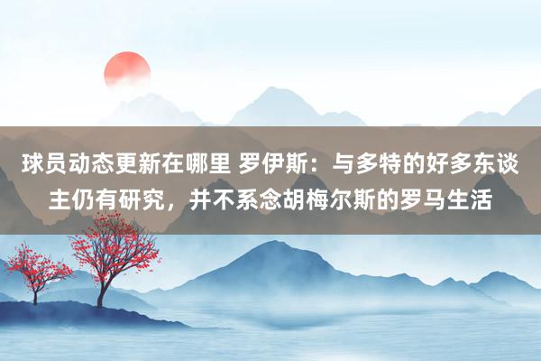 球员动态更新在哪里 罗伊斯：与多特的好多东谈主仍有研究，并不系念胡梅尔斯的罗马生活