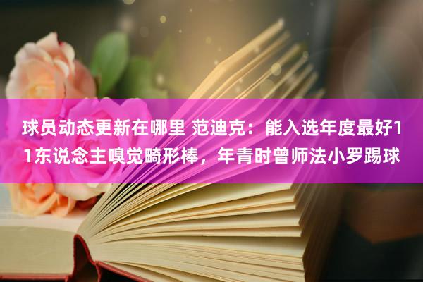 球员动态更新在哪里 范迪克：能入选年度最好11东说念主嗅觉畸形棒，年青时曾师法小罗踢球