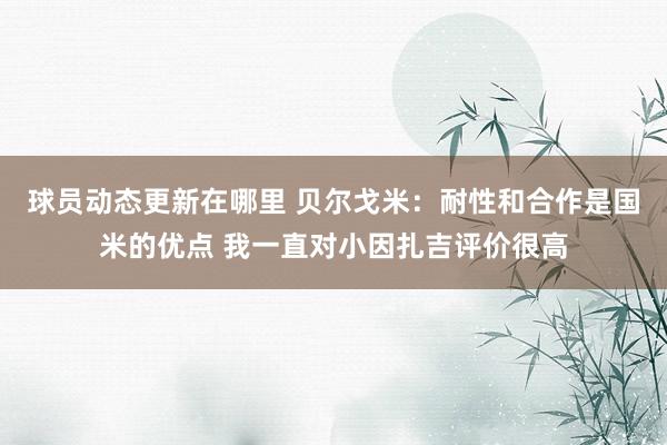 球员动态更新在哪里 贝尔戈米：耐性和合作是国米的优点 我一直对小因扎吉评价很高