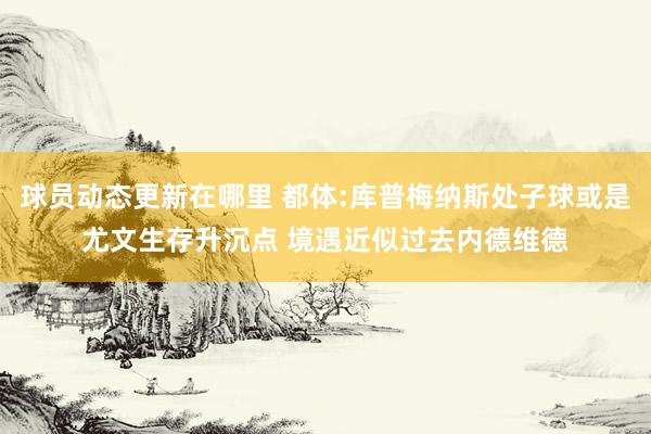 球员动态更新在哪里 都体:库普梅纳斯处子球或是尤文生存升沉点 境遇近似过去内德维德