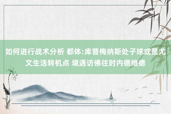 如何进行战术分析 都体:库普梅纳斯处子球或是尤文生活转机点 境遇访佛往时内德维德