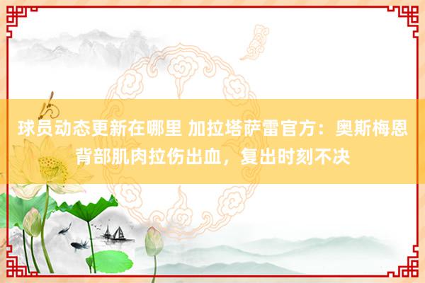 球员动态更新在哪里 加拉塔萨雷官方：奥斯梅恩背部肌肉拉伤出血，复出时刻不决