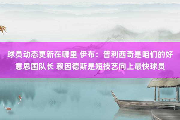 球员动态更新在哪里 伊布：普利西奇是咱们的好意思国队长 赖因德斯是短技艺向上最快球员