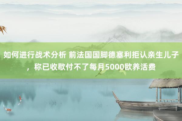 如何进行战术分析 前法国国脚德塞利拒认亲生儿子，称已收歇付不了每月5000欧养活费