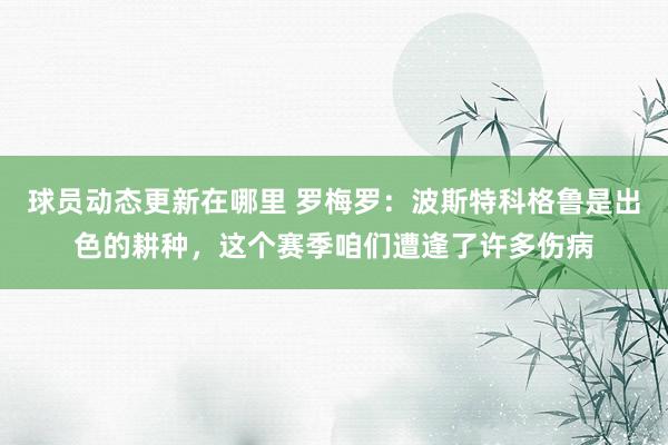 球员动态更新在哪里 罗梅罗：波斯特科格鲁是出色的耕种，这个赛季咱们遭逢了许多伤病