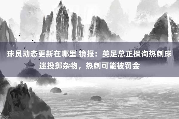 球员动态更新在哪里 镜报：英足总正探询热刺球迷投掷杂物，热刺可能被罚金