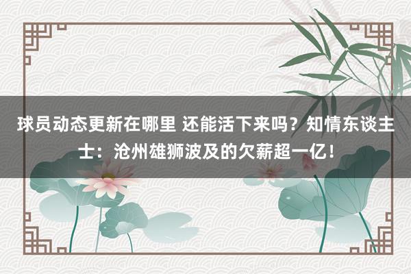 球员动态更新在哪里 还能活下来吗？知情东谈主士：沧州雄狮波及的欠薪超一亿！