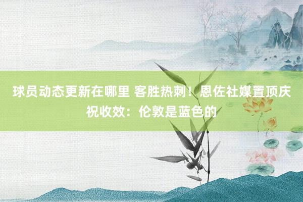 球员动态更新在哪里 客胜热刺！恩佐社媒置顶庆祝收效：伦敦是蓝色的