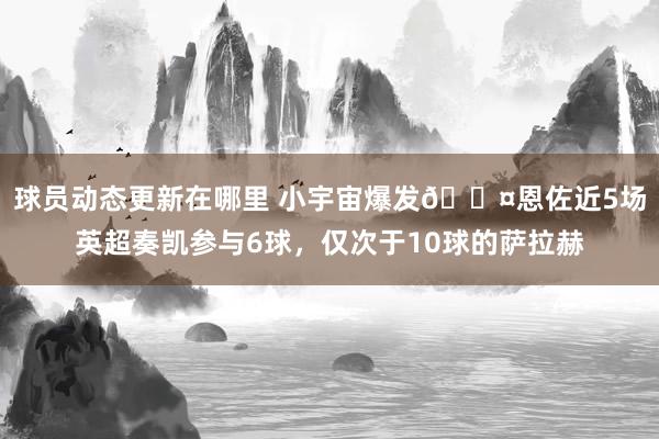 球员动态更新在哪里 小宇宙爆发😤恩佐近5场英超奏凯参与6球，仅次于10球的萨拉赫